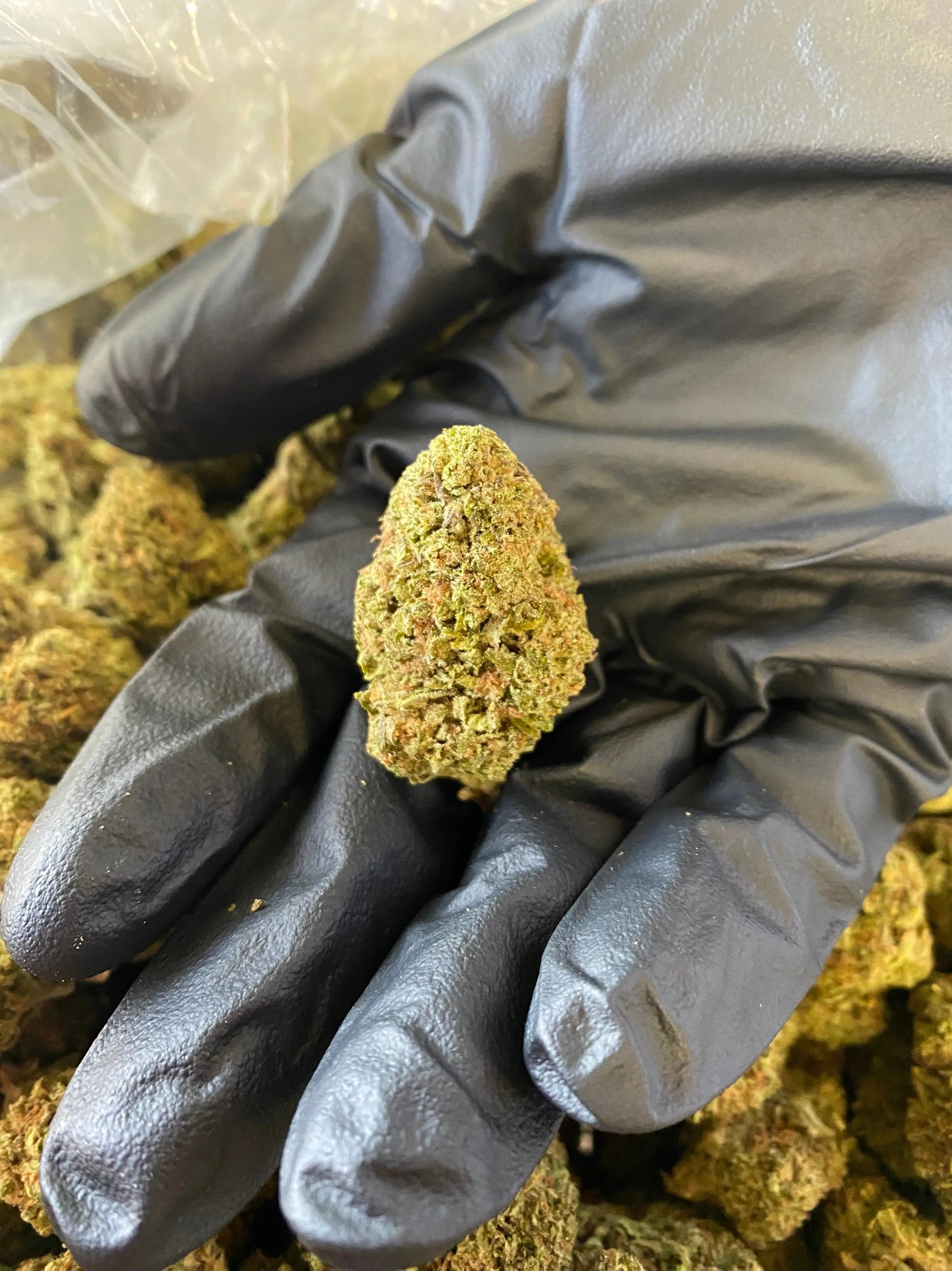 Ice Cream THCA Frisco Labs