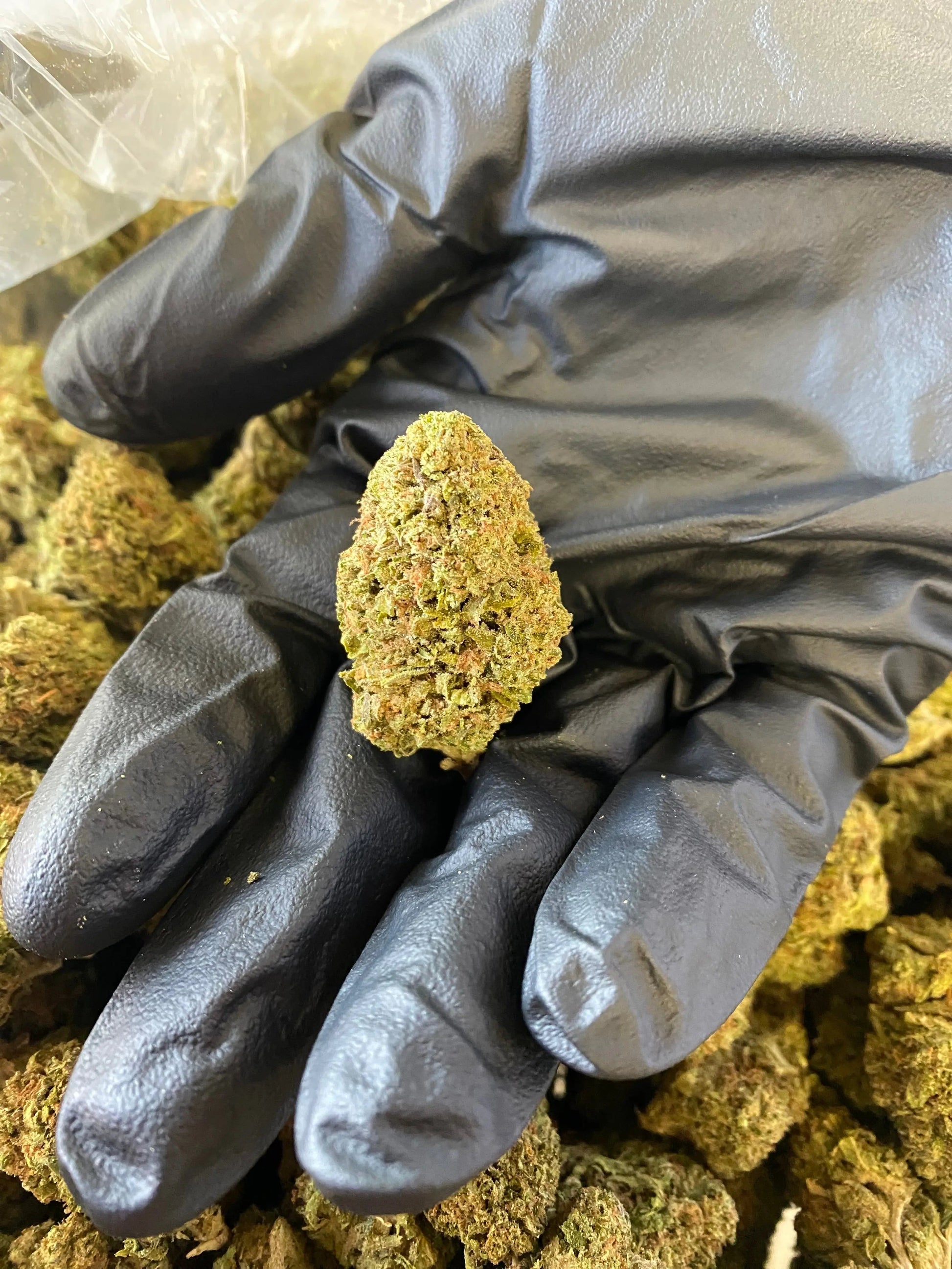 Ice Cream THCA Frisco Labs