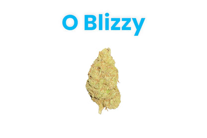 O Blizzy THCA - Frisco Labs