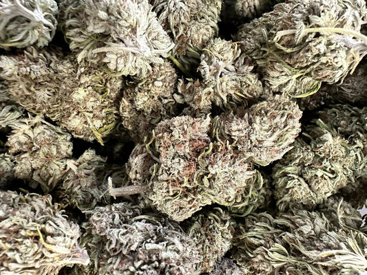 Stem Cell CBG Strain - Frisco Labs