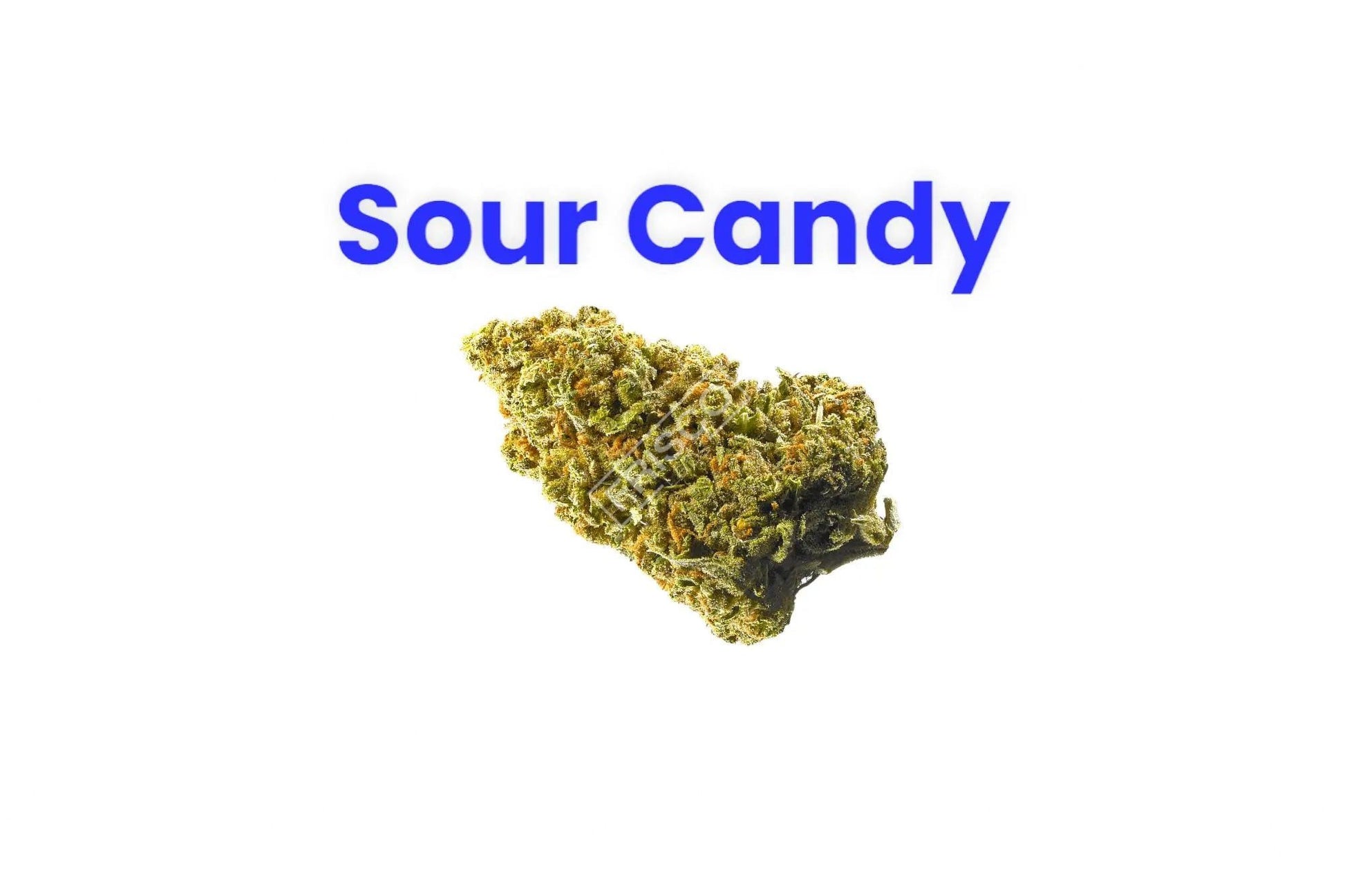 Sour Candy CBD - Frisco Labs