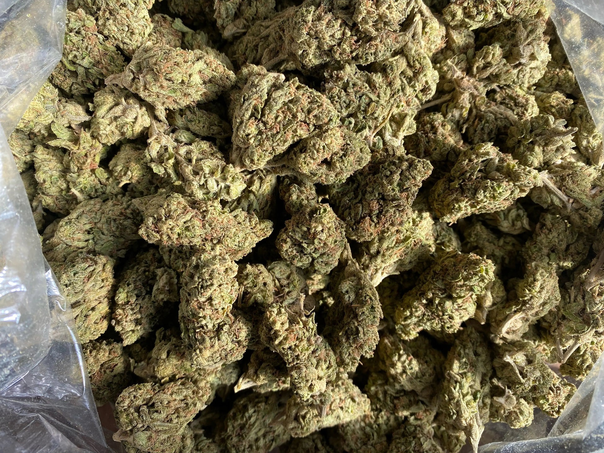 Tuscon Gelato THCA - Frisco Labs