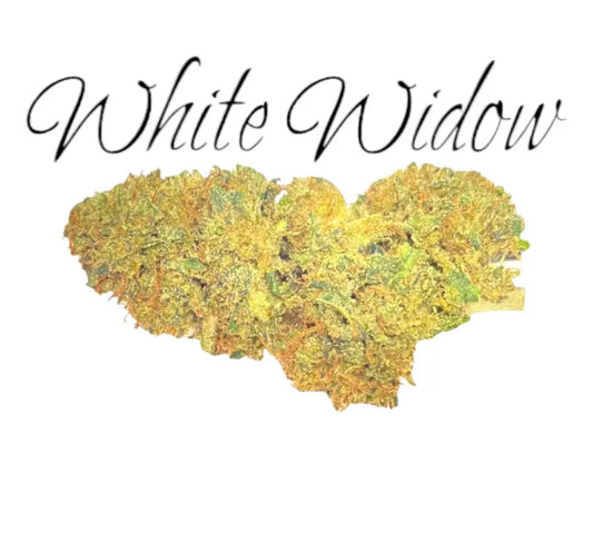 White Widow - Frisco Labs 