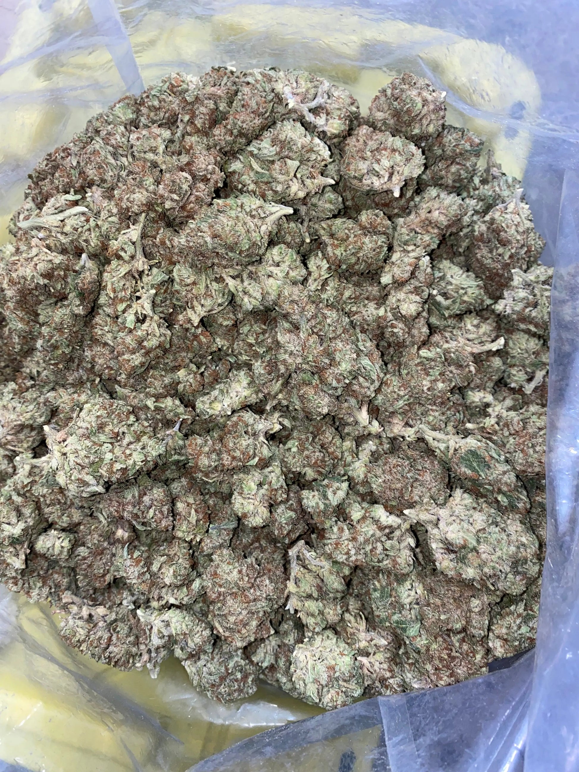Zereal Milk THCA - Frisco Labs