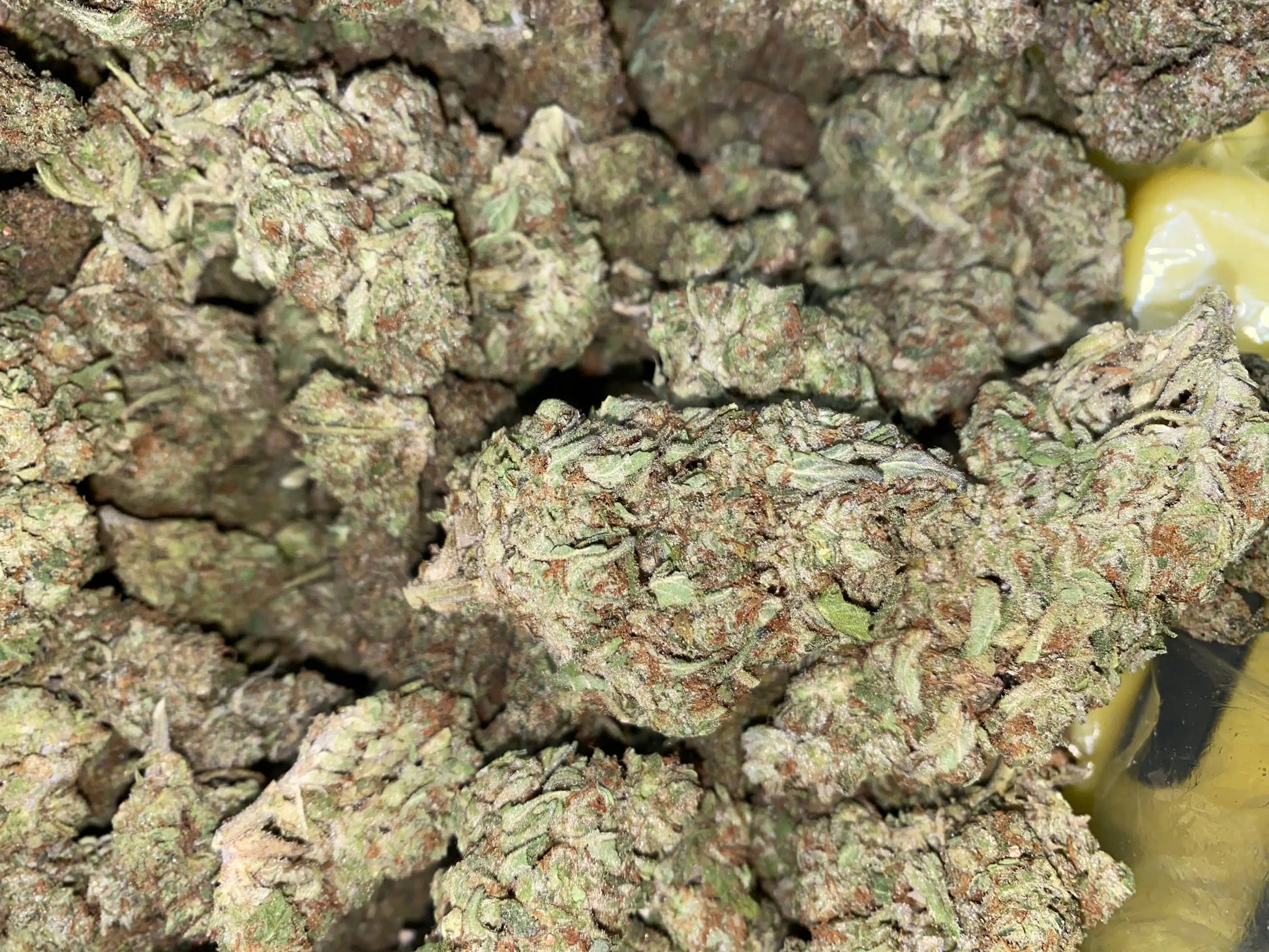 Zereal Milk THCA - Frisco Labs