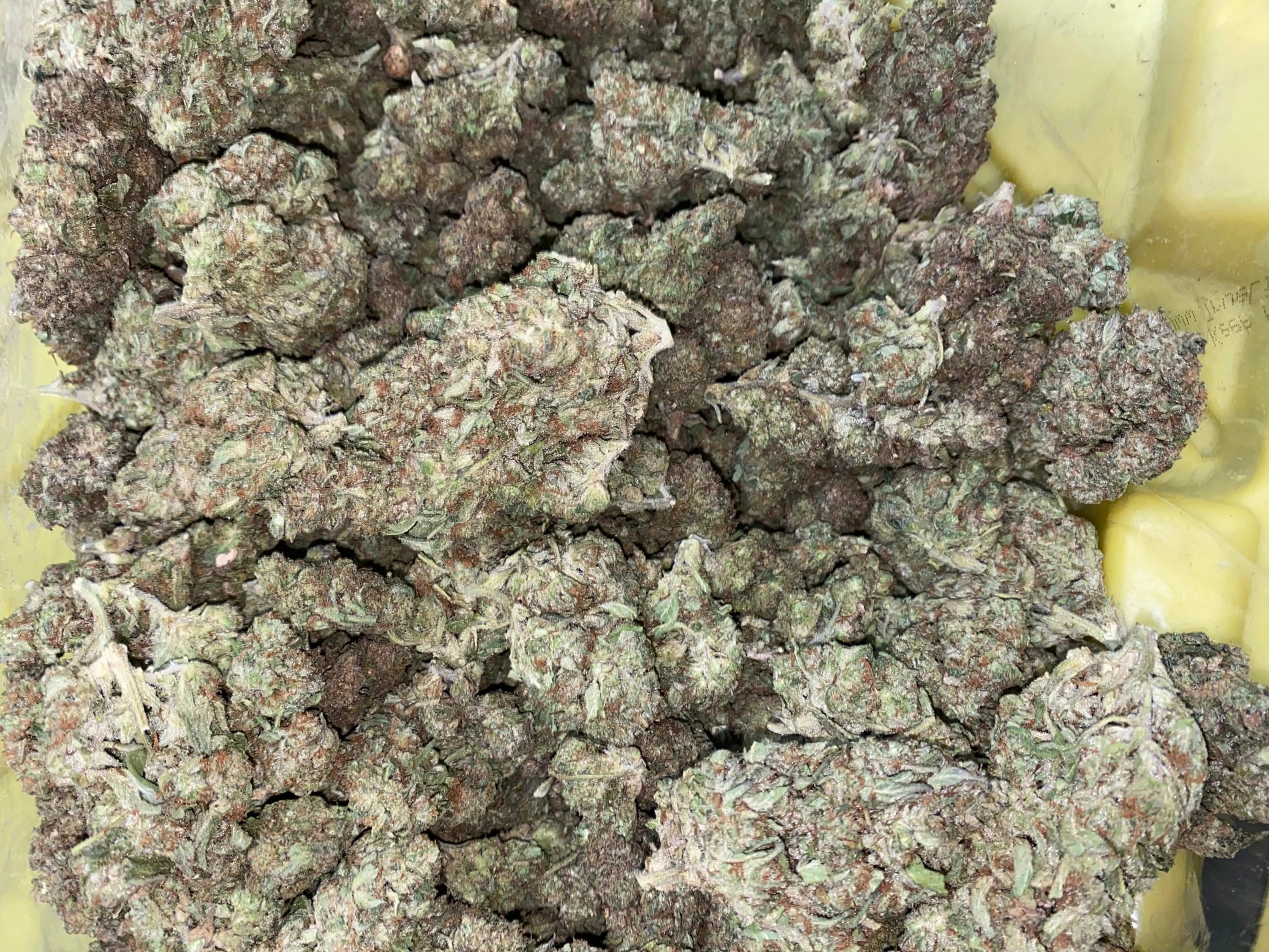 Zereal Milk THCA - Frisco Labs