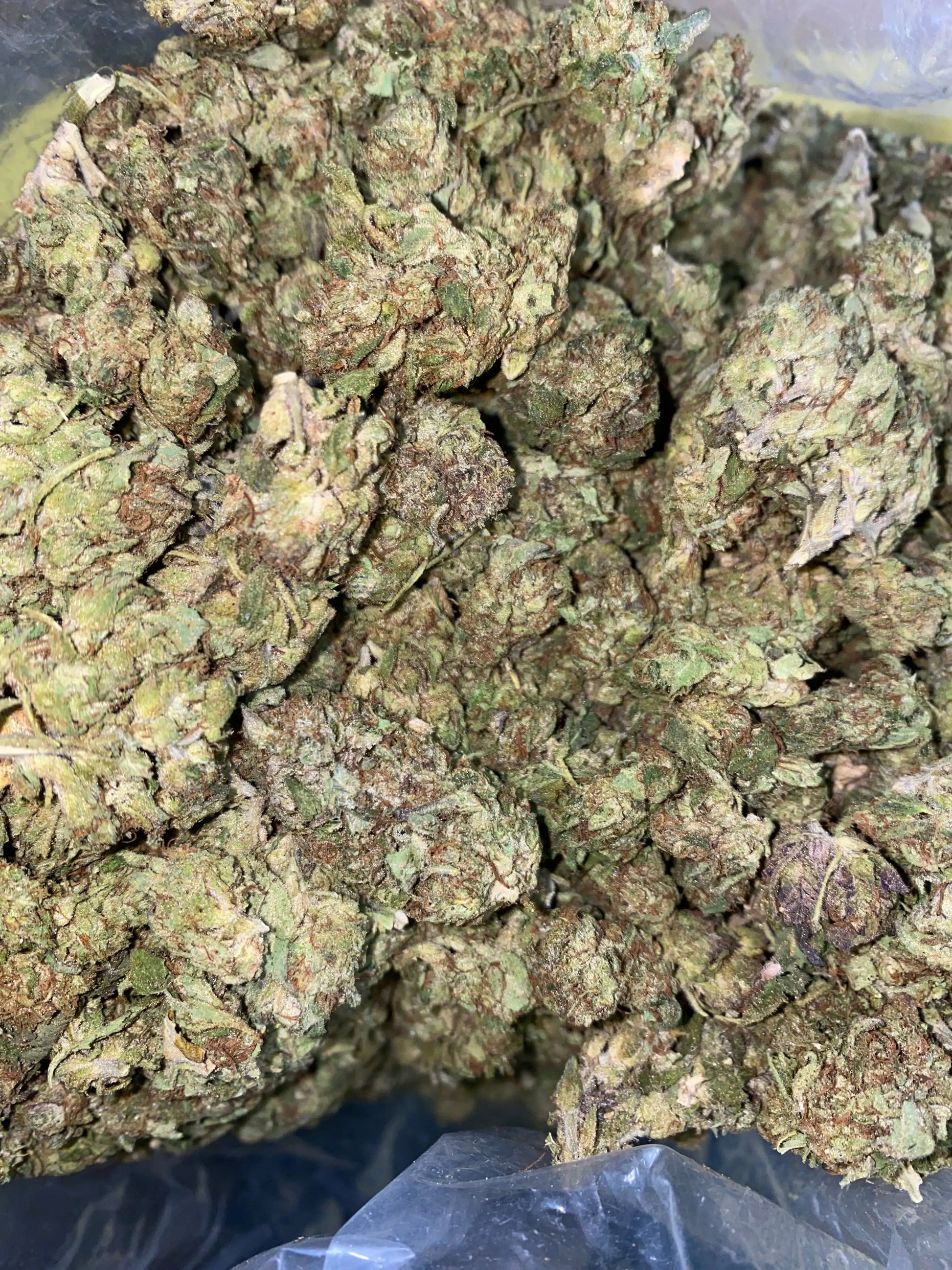 Zereal Milk THCA - Frisco Labs
