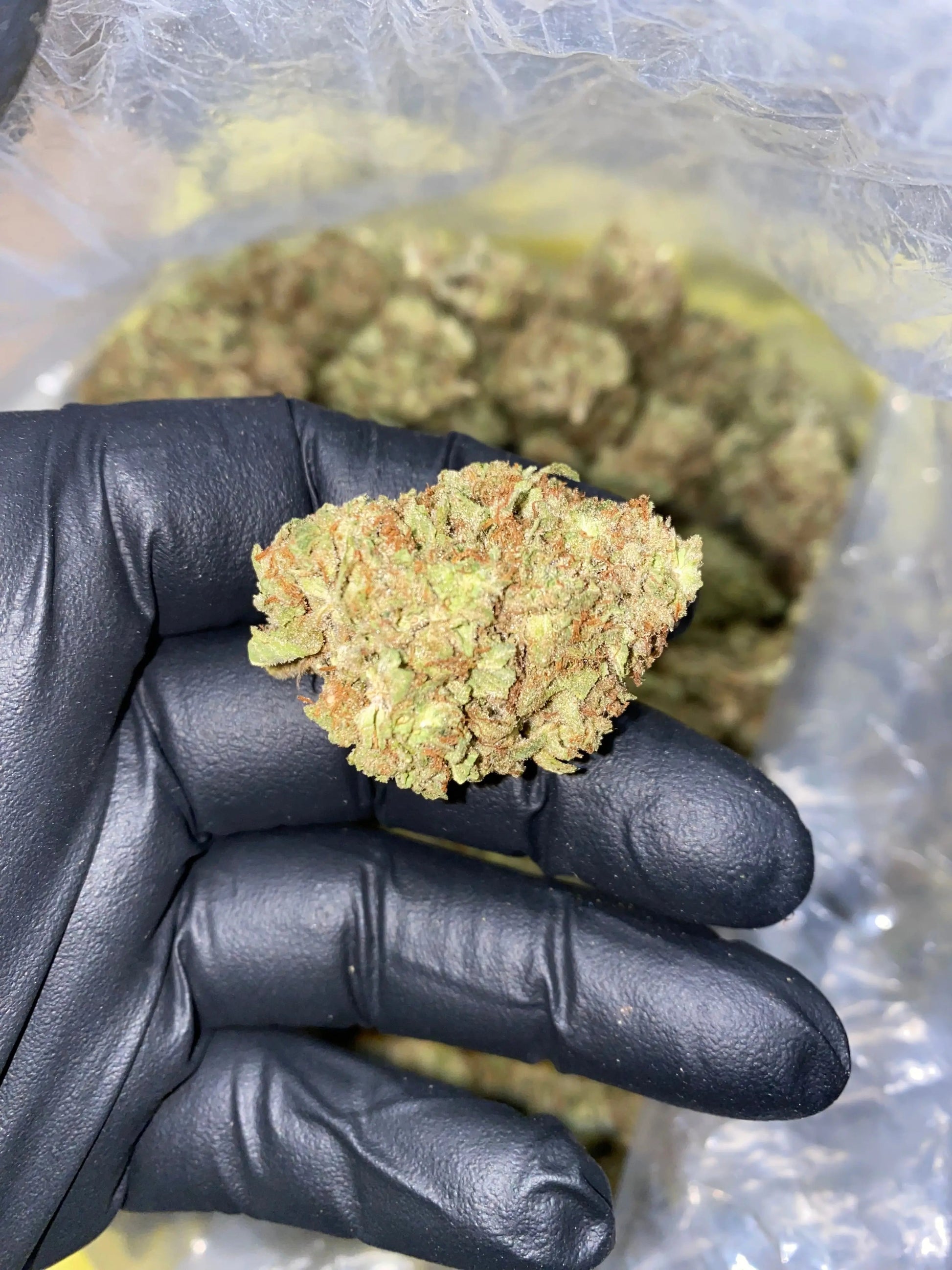 Zereal Milk THCA - Frisco Labs