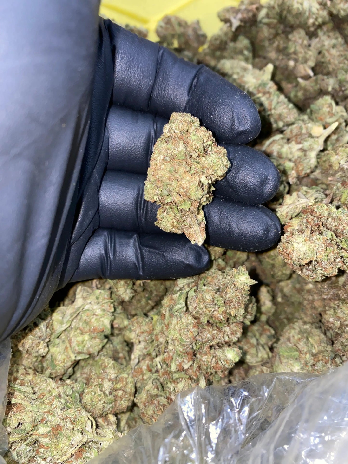 Zereal Milk THCA - Frisco Labs