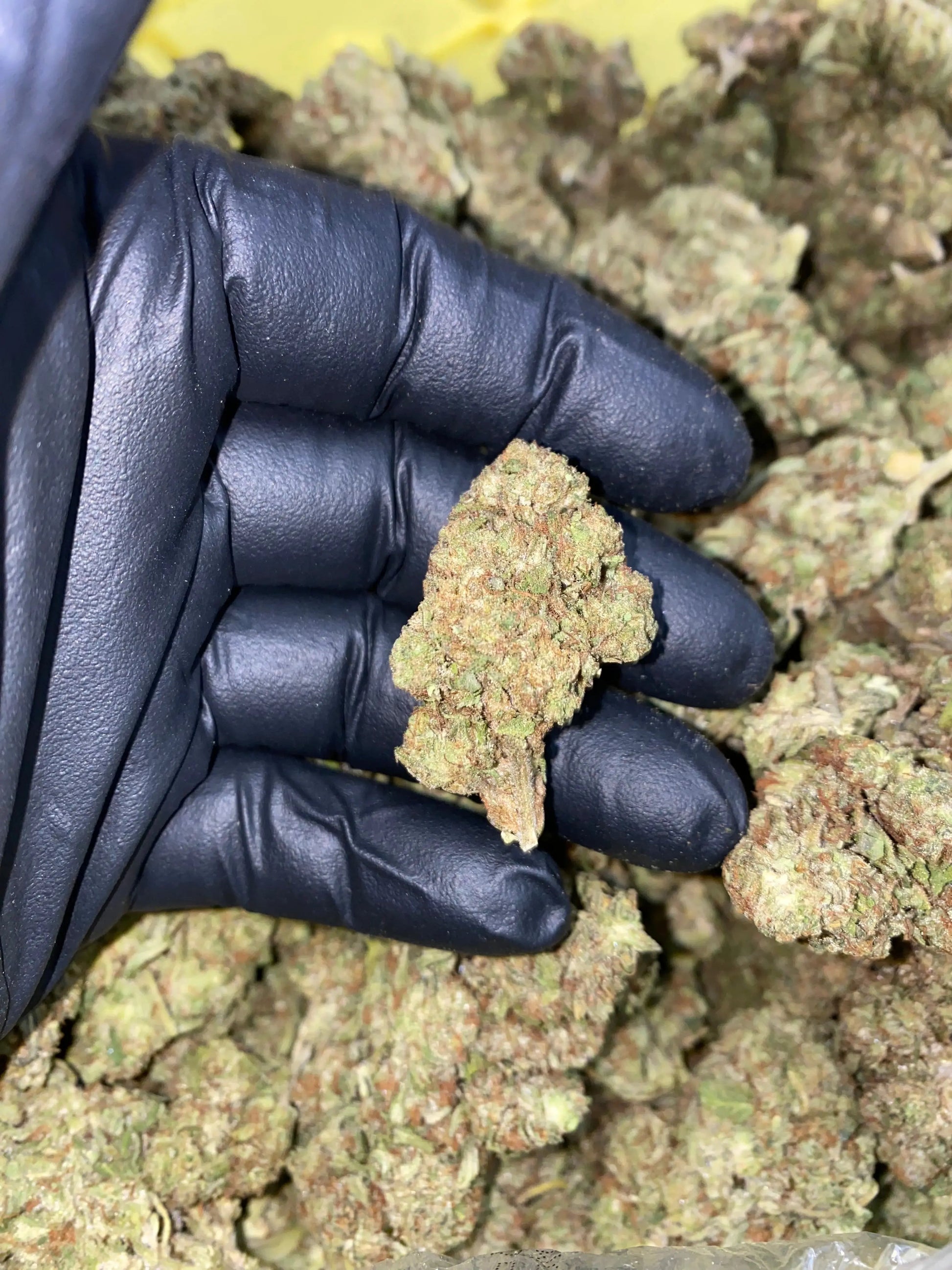 Zereal Milk THCA - Frisco Labs