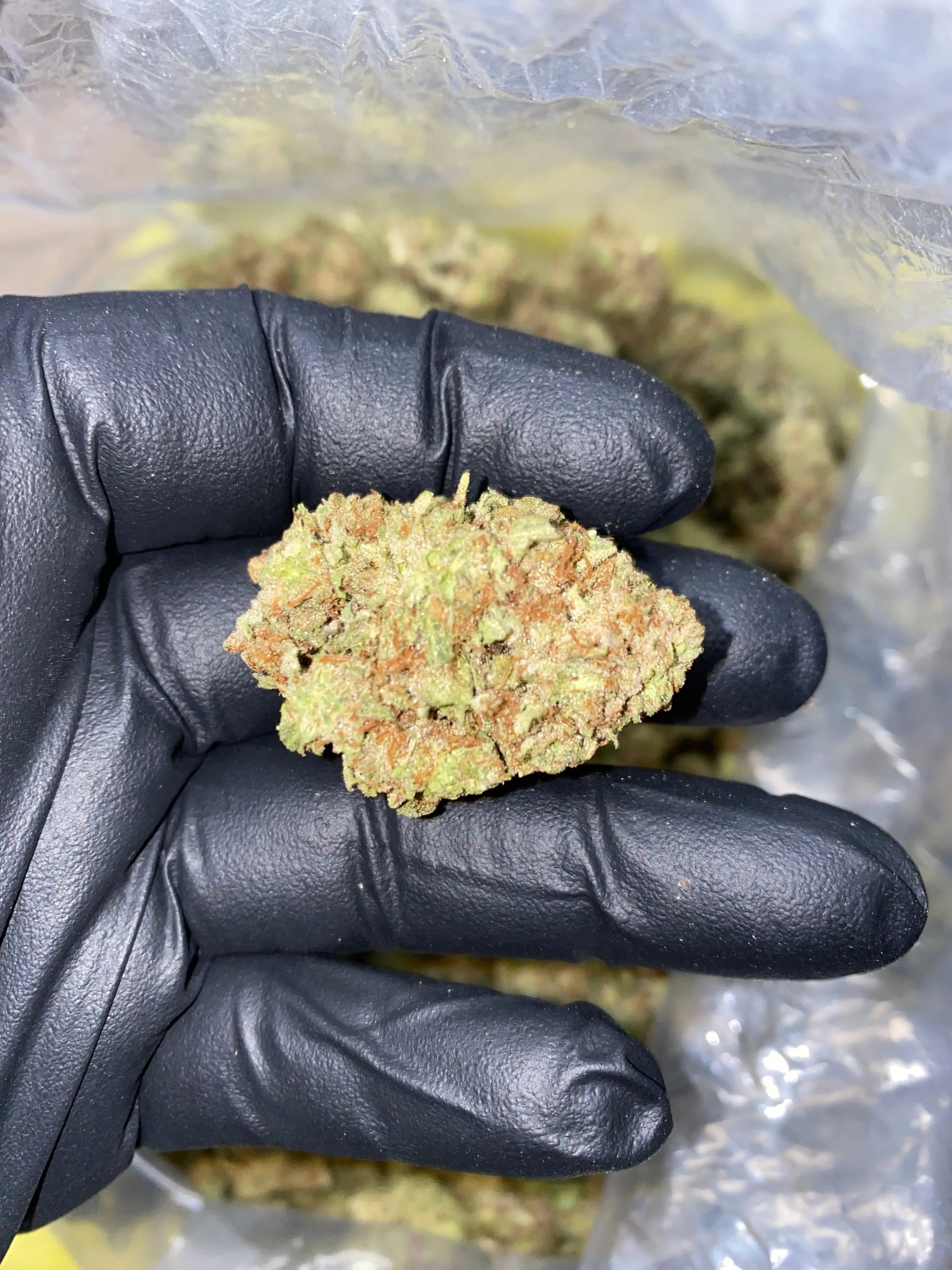 Zereal Milk THCA - Frisco Labs