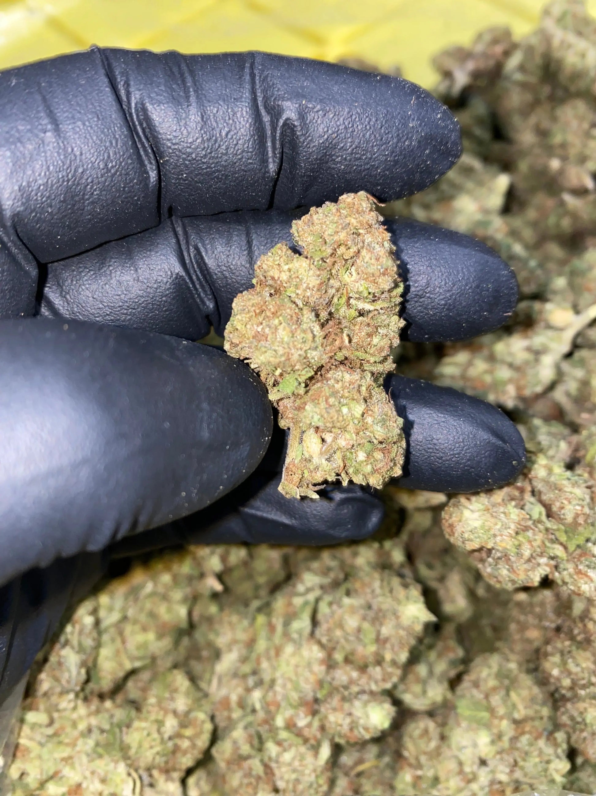 Zereal Milk THCA - Frisco Labs