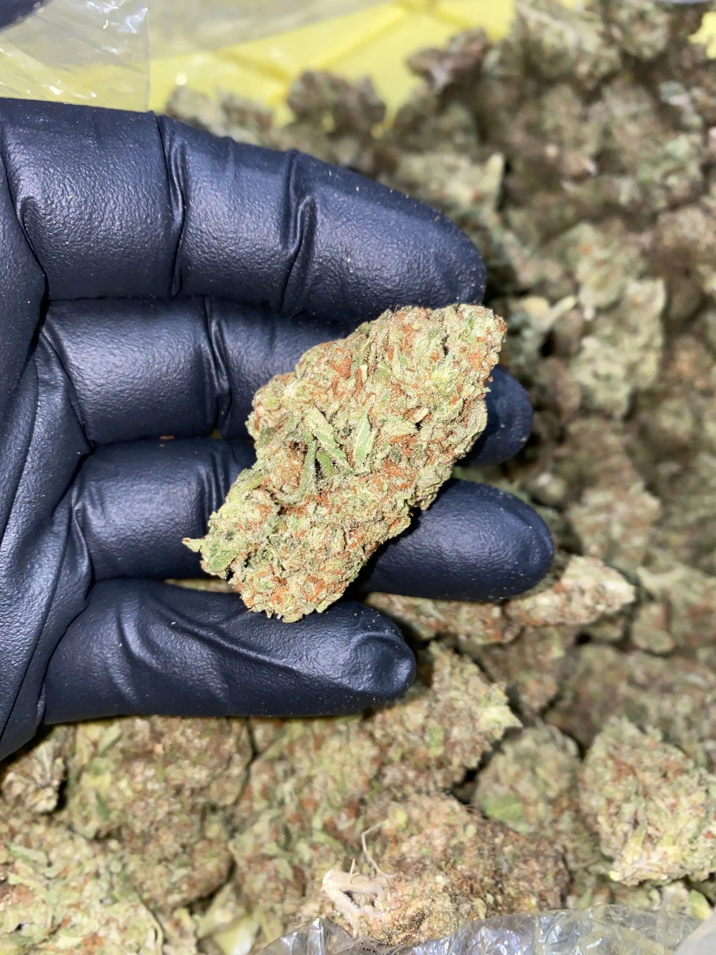 Zereal Milk THCA - Frisco Labs