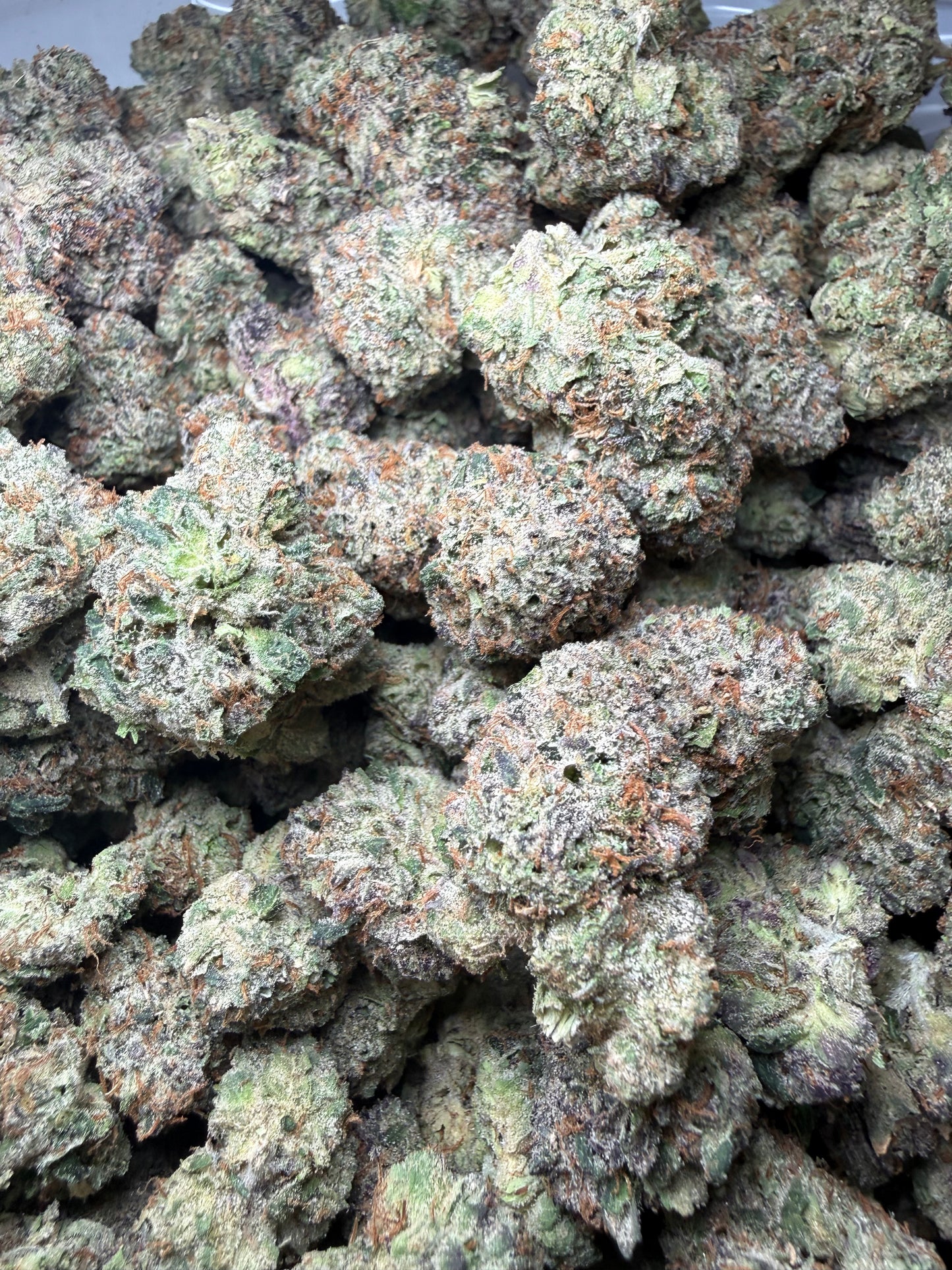 🔥 ⅛ oz – Gelato Bird #33 (Indoor) FL Fulfillment Center