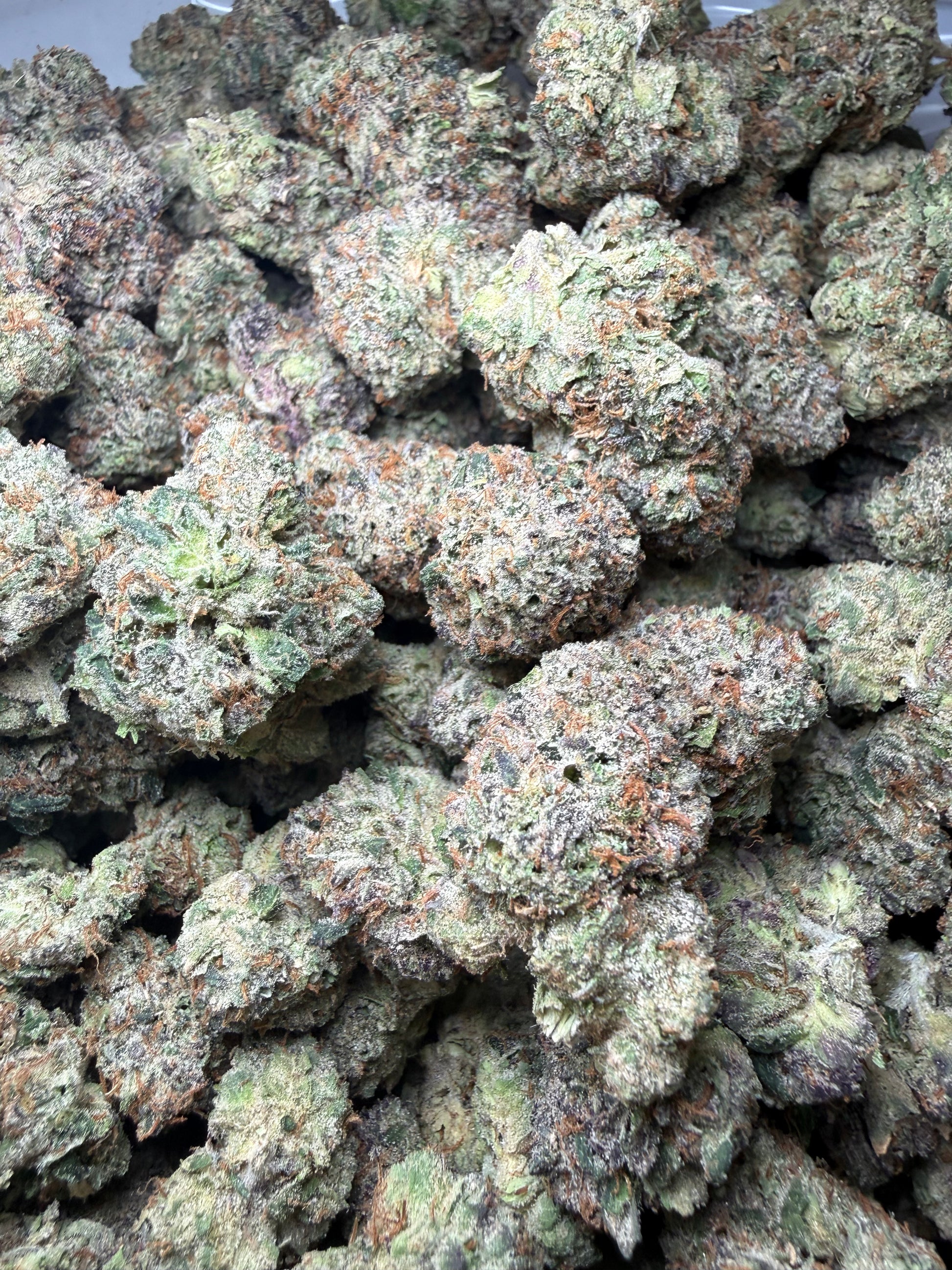 🔥 ⅛ oz – Gelato Bird #33 (Indoor) FL Fulfillment Center