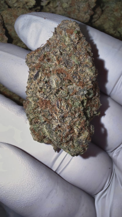 1 Pound - Exotic Indoor Smurfette THCA