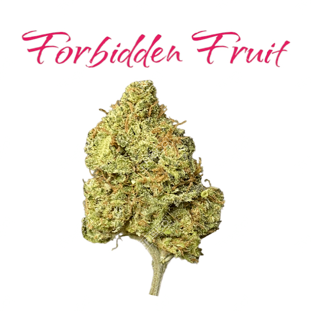 Forbidden Fruit THC Flower